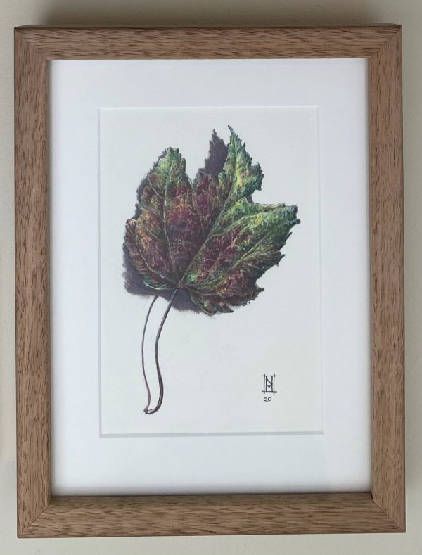 Fforest - Oak Leaf